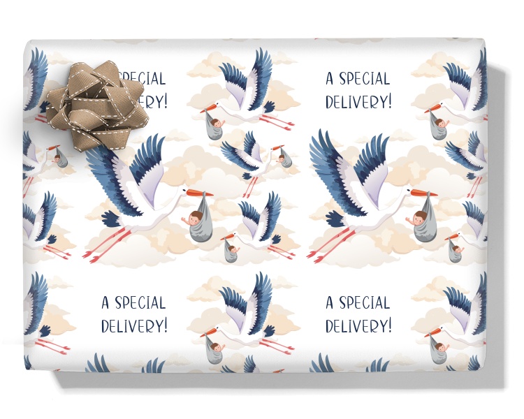 The Stork & The Baby