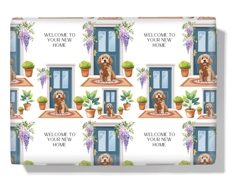 Welcome From The Cavapoo