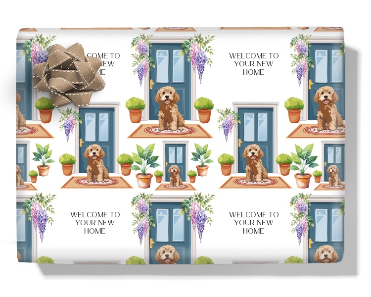 Welcome From The Cavapoo