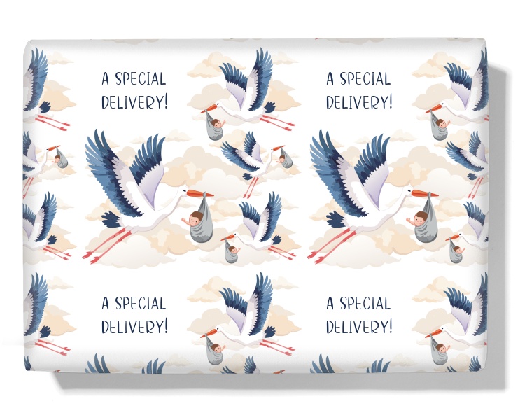 The Stork & The Baby