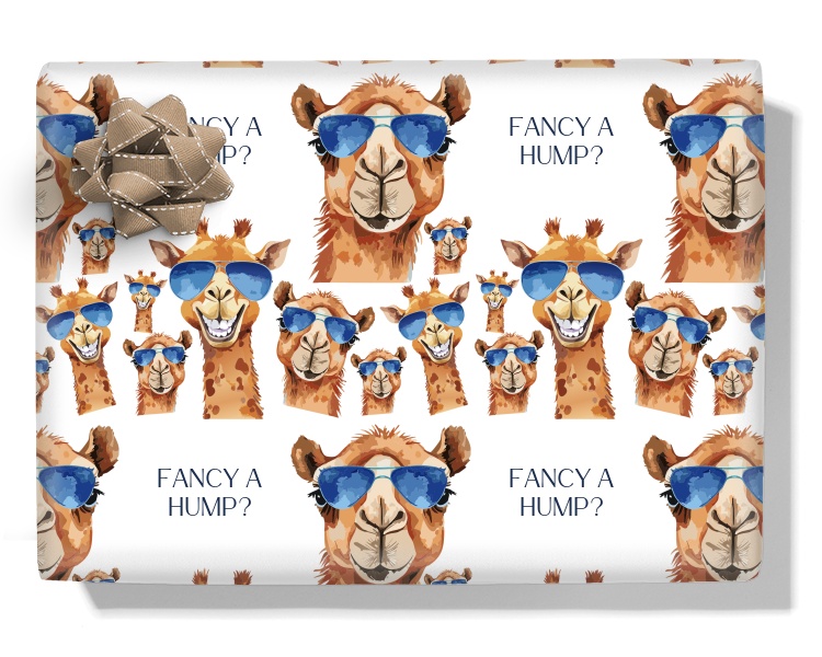 Fancy A Hump