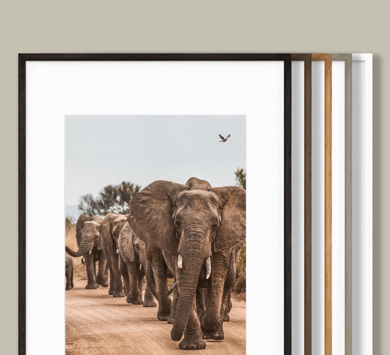 Frame Your Print